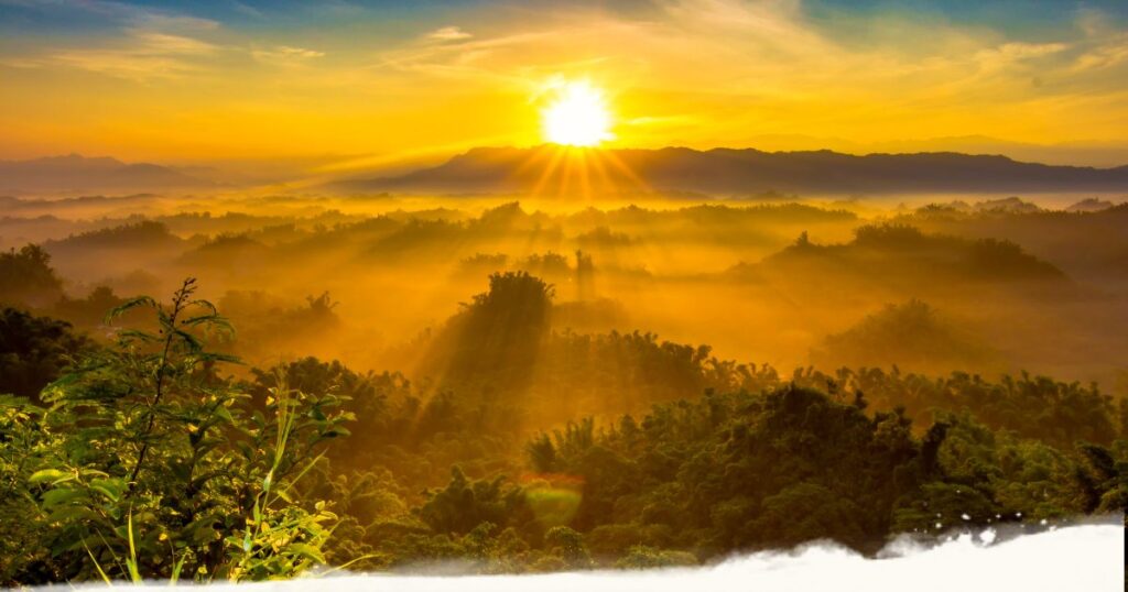 Intuition und altes Ernährunswissen