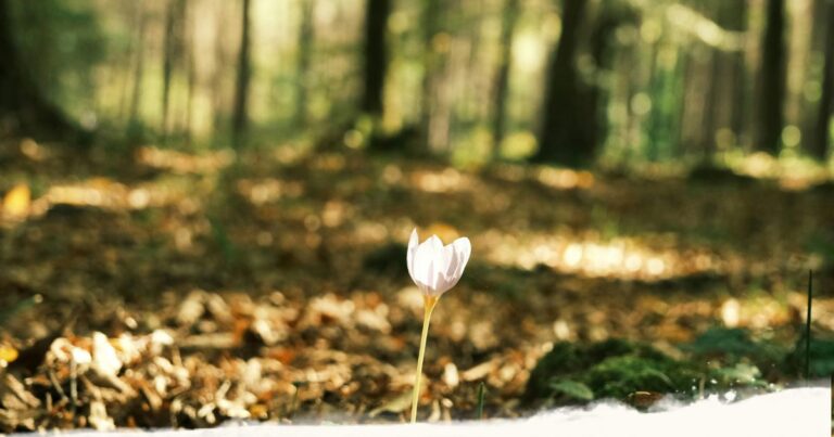 Arbeit mit dem inneren Kind