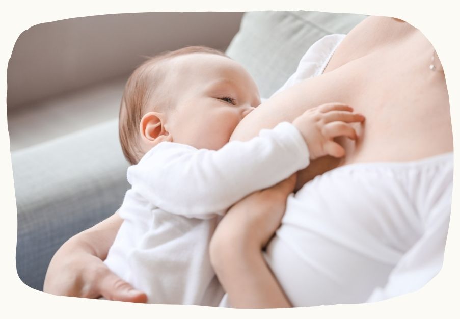 Baby wird an der Brust gestillt – Stillen als Ausdruck von Bindung, Sicherheit und innerer Regulation