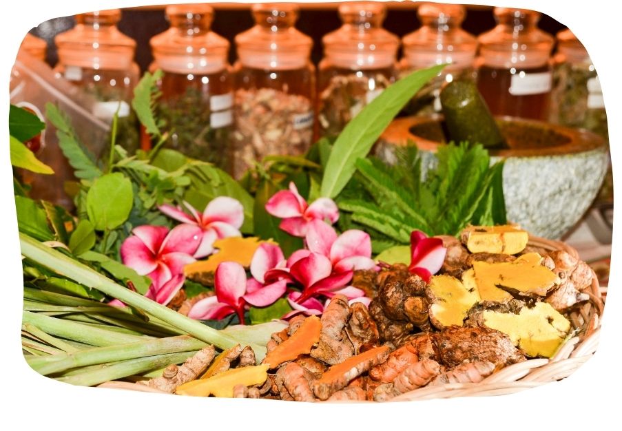 Blüten und Gewürze aus TCM und Ayurveda als Symbol für natürliche hormonelle Balance und ganzheitliche Ernährung.